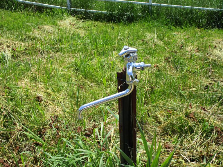 蛇口から始まる安心生活浄水器が変える家庭の水文化と健康へのこだわり